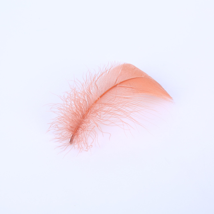 羽毛、羽绒实物图