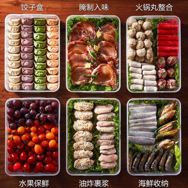 Portable Dumpling Box Refrigerator Freezer Box With Cover Food Grade Crisper Plastic Household Wonton Dumpling Storage Box details Picture