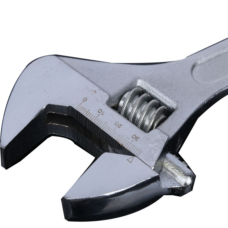 import白底实物图