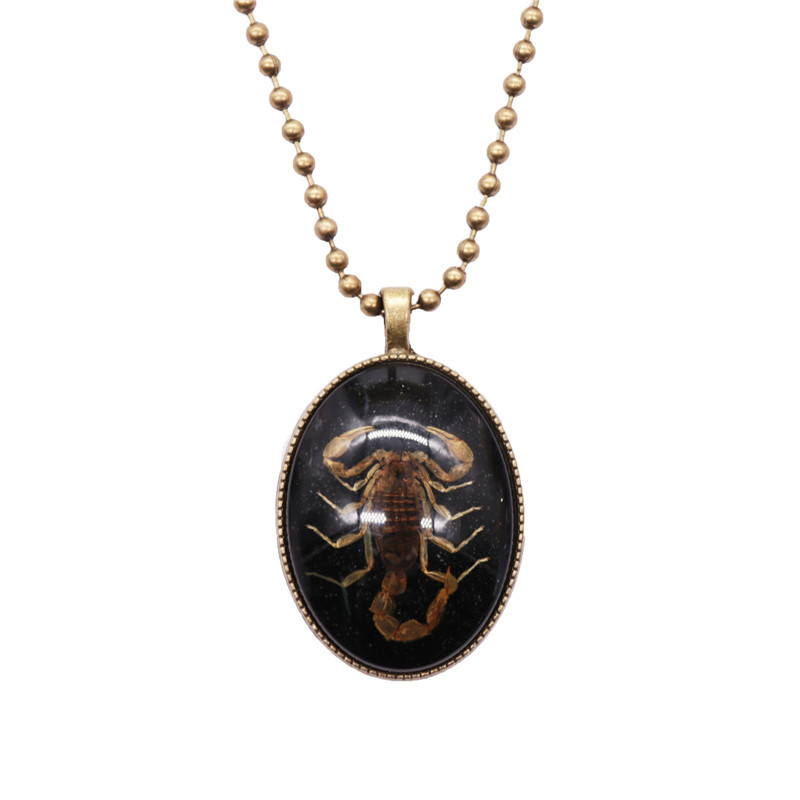 Yiwu Manufacturers Amber Jewelry Creative New Luminous Stone Resin Insect Necklace Retro Scorpion Pendant Wholesale Item Picture