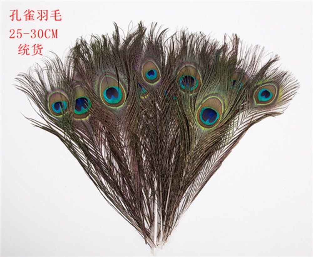 25-30cm peacock feather middle eye handicraft feather accessory Headband decoration DIY fan Peacock feather Application Scenario