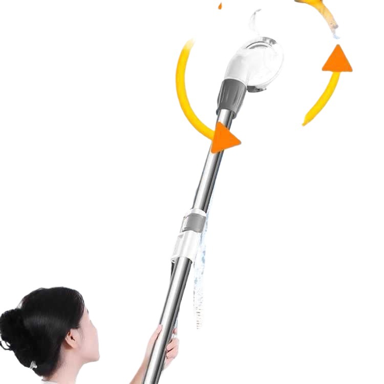 import白底实物图