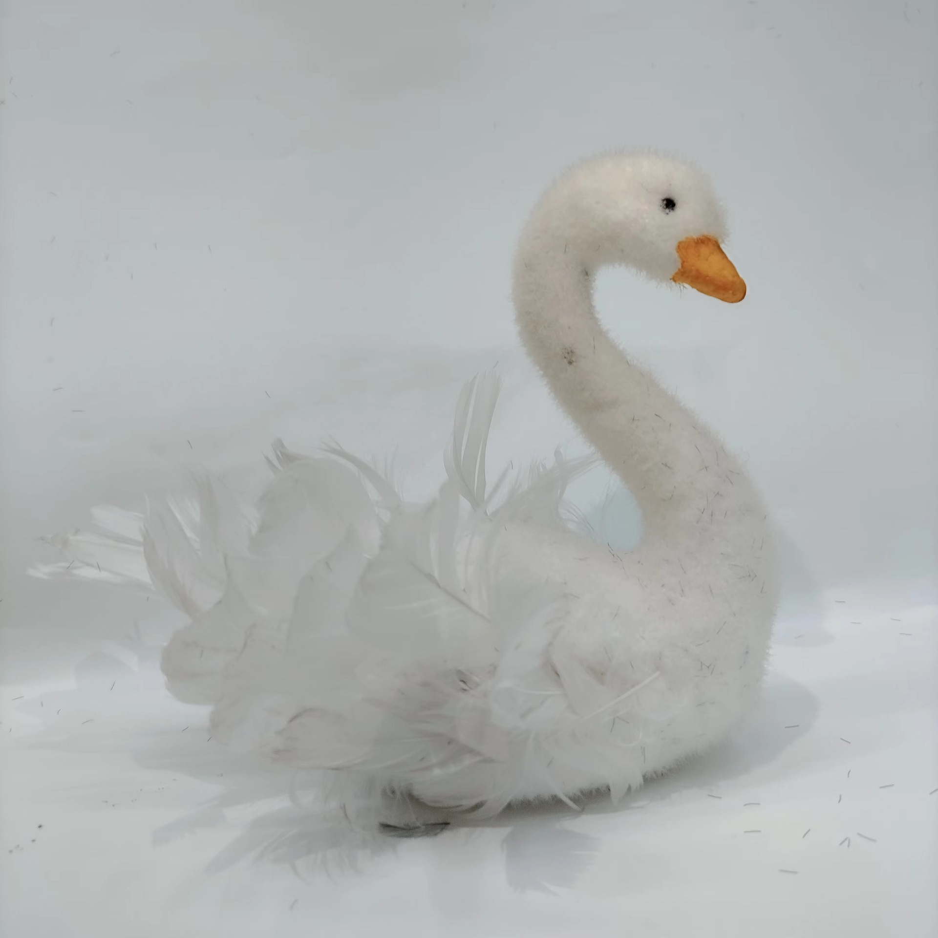 Source Manufacturers Supply Black And White Swan Simulation Decorative Crafts Feather Foam Material Advanced Novel Props Application Scenario