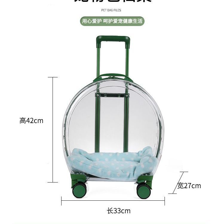 import白底实物图