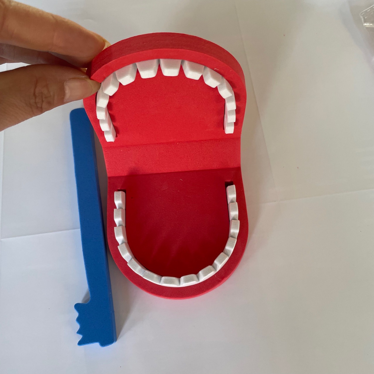 牙齿教具幼儿园牙齿模型早教玩具牙齿模型教学牙齿制作