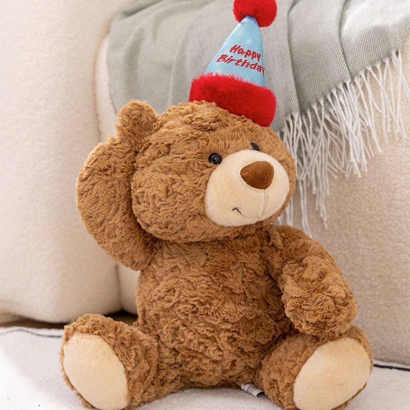 New Birthday Hat Teddy Bear Plush Toys To Girls Children's New Year Gift Bear Dolls Wholesale Application Scenario