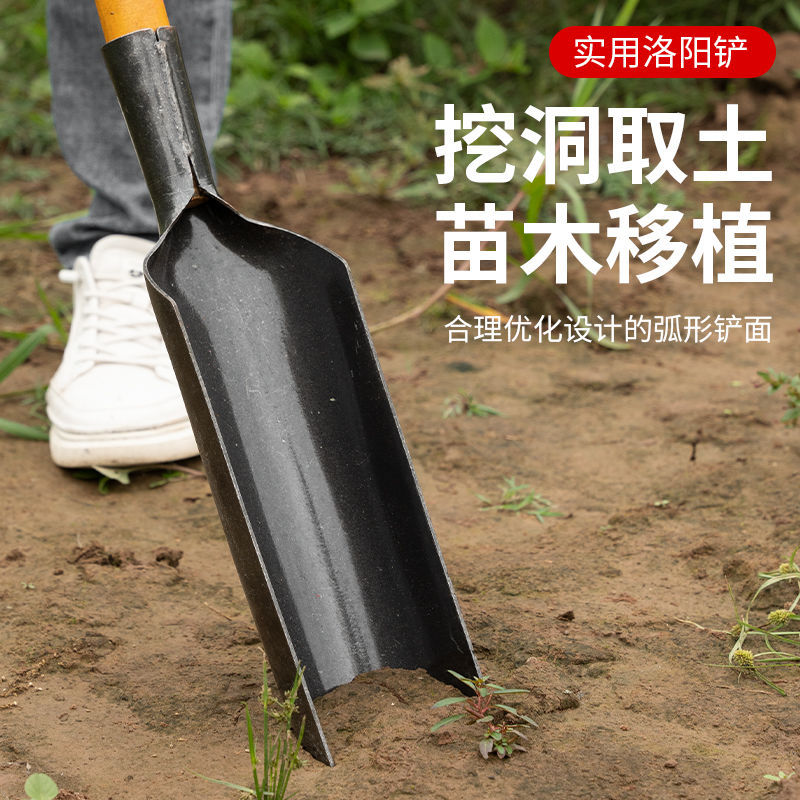 import产品图