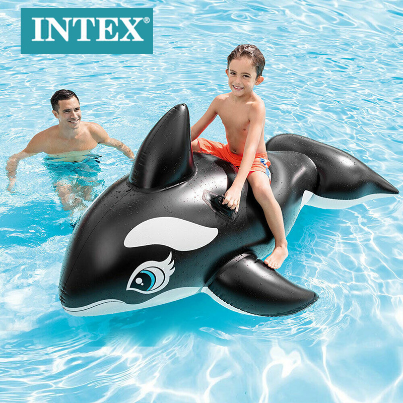 وتنفخ الحيتان القاتلة من طراز INTEX58561 في جولة على ألعاب الكاريكاتورية المتحركة ومزودة بعوامة بالجملة