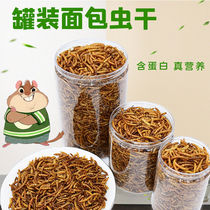 Mealworm dry food Hamster food turtle food pet food small snacks feed set with yellow mealworm