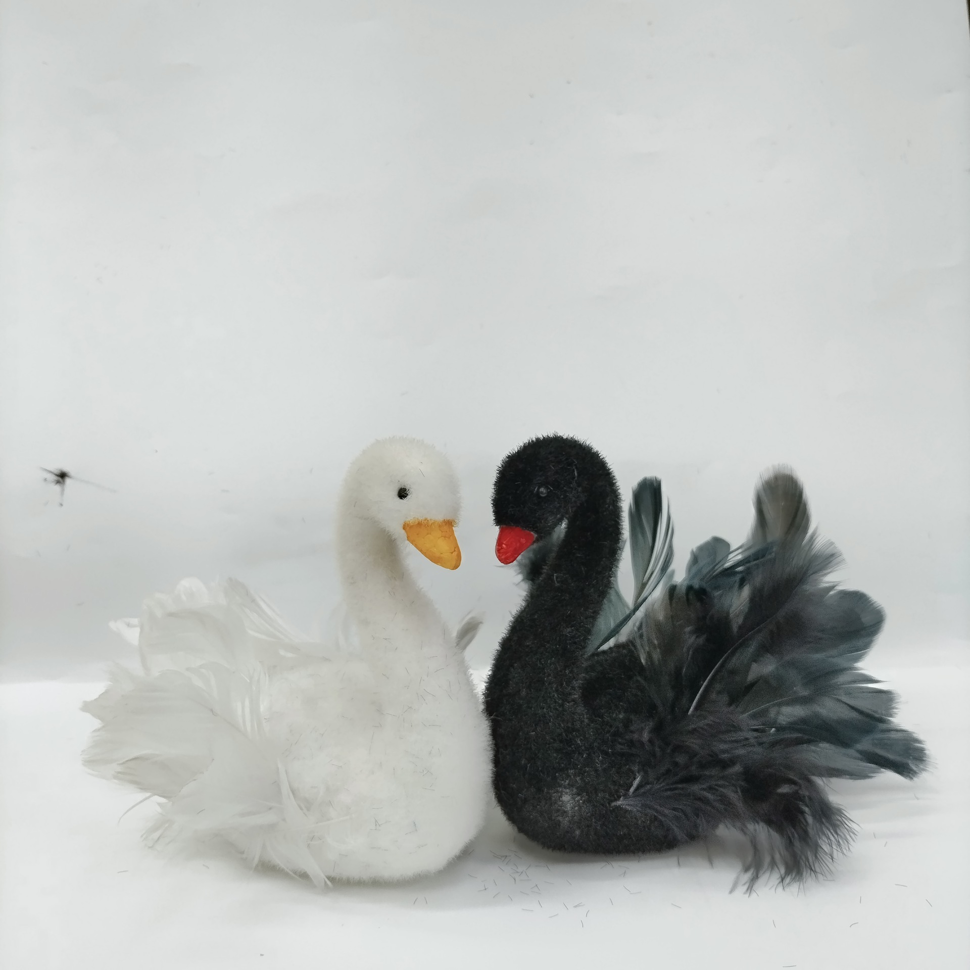 Source Manufacturers Supply Black And White Swan Simulation Decorative Crafts Feather Foam Material Advanced Novel Props details Picture