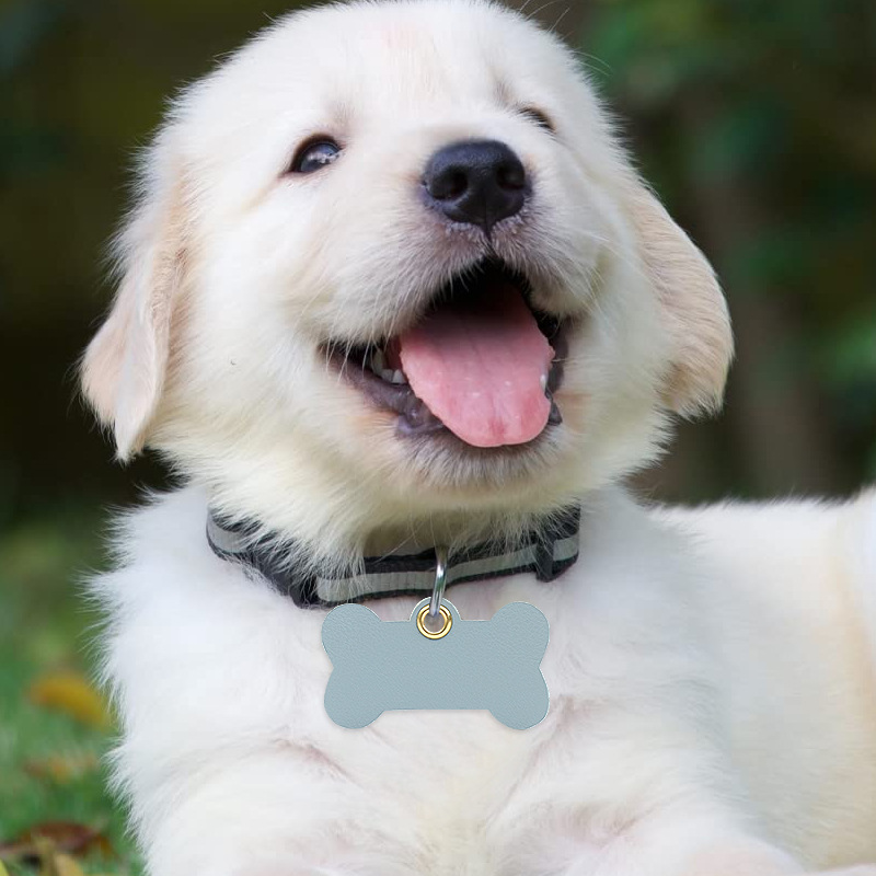 Bone-shaped multi-color leather pet pendants for cross-border trade, anti-wandering cat and dog tags, and pet dog tags for going out Specification image