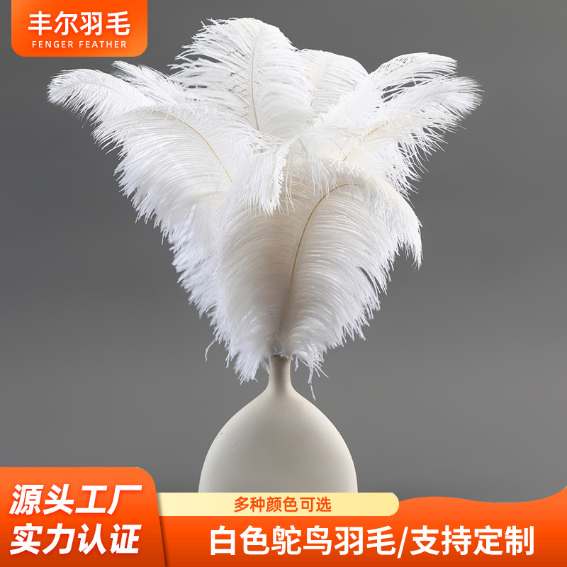 简约风优质细杆鸵鸟毛15-60cm白色羽毛可手工DIY居家摆件插花批发