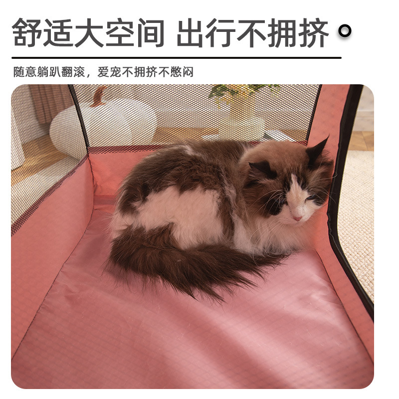 猫猫窝、笼实物图