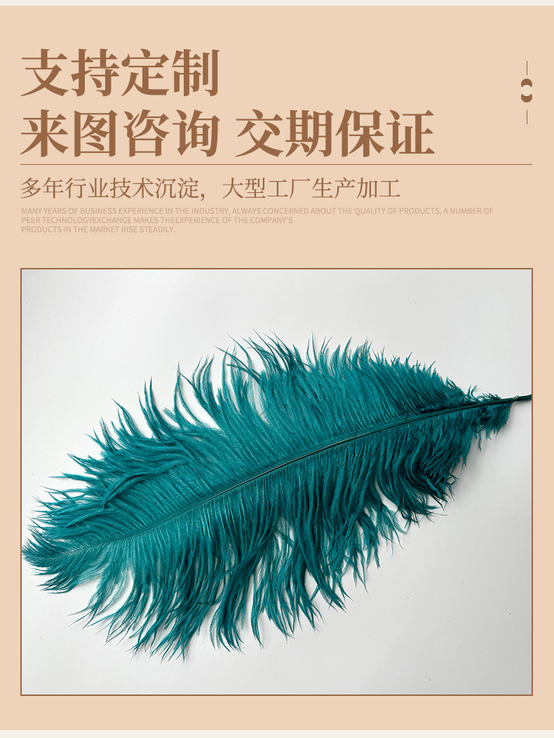 厂家直销15-80cm鸵鸟毛舞台布置真羽毛发夹装饰插花婚庆布置羽毛详情10