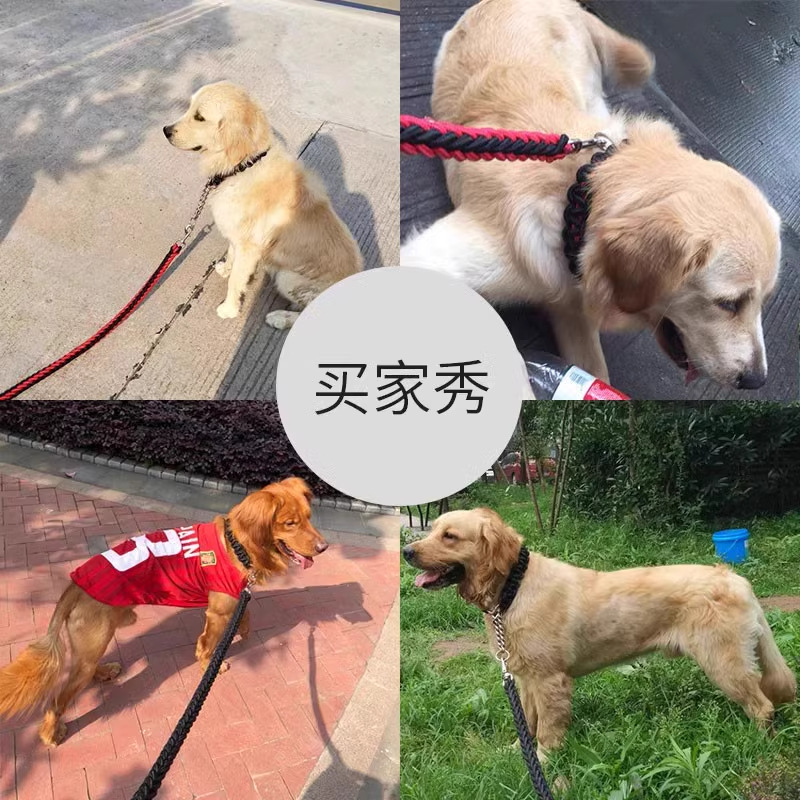 狗狗牵引实物图