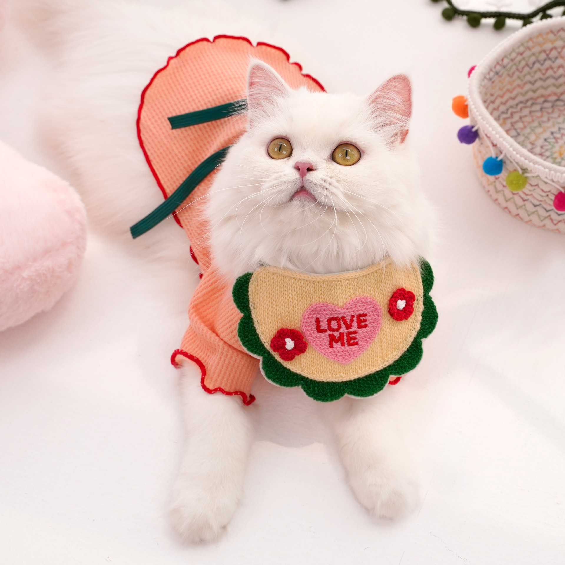 Spring and Autumn Pet wipes with elastic lace-up decoration, three-dimensional knitted cute cartoon embroidered wipes for dogs and cats Application Scenario