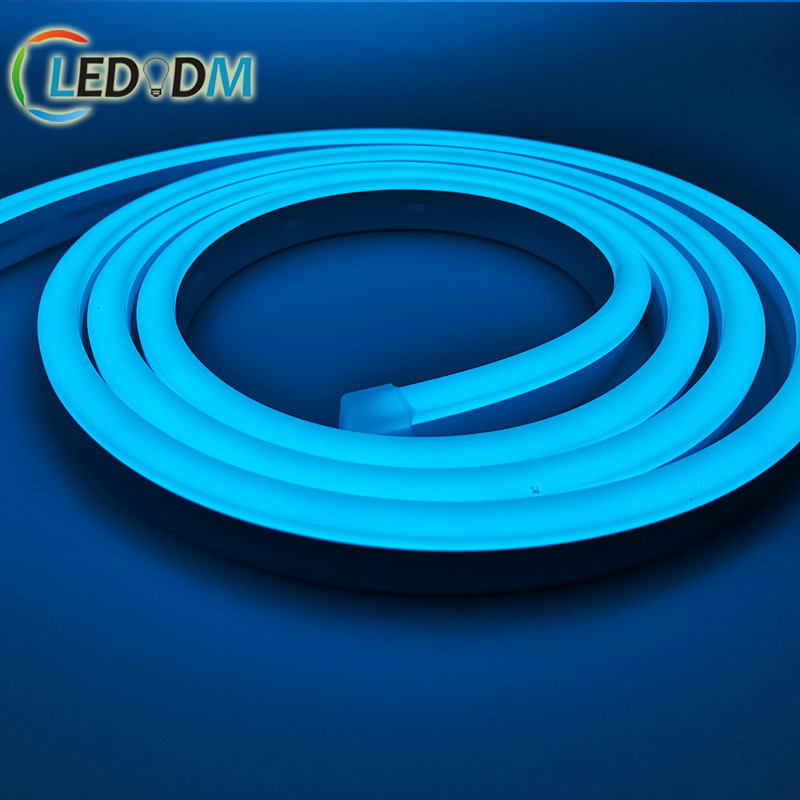 Casing Neon Side Light 10X18 Ice Blue Silicone Neon Strip Dc12/24V Light Word Strip details Picture