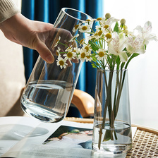 轻奢简约玻璃花瓶透明创意水培植物鲜花网红花瓶北欧客厅插花摆件1