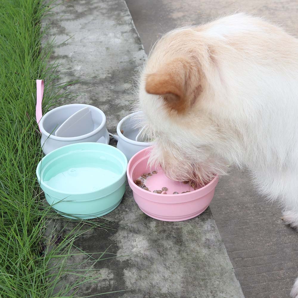 Pet supplies for going out: pet bowl, dog bowl, poop bag, drinking cup, three-in-one portable box for walking pets, silicone folding bowl Application Scenario