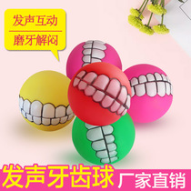 Tooth ball pet ball toy tooth glue dog toy ball manufacturers wholesale molar tooth ball