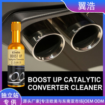 Rayhong三元催化清洁剂 汽车清洗剂发动机内部免拆尾气催化除积碳