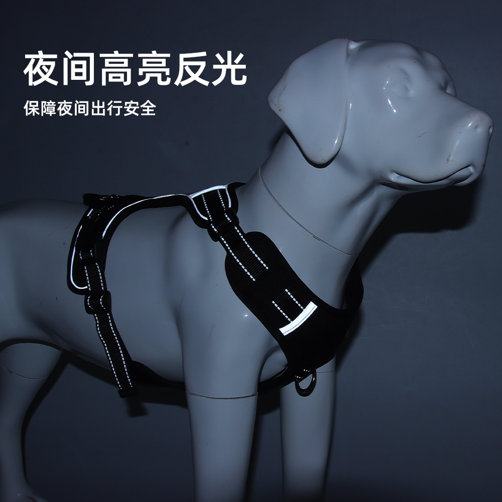 狗狗牵引实物图