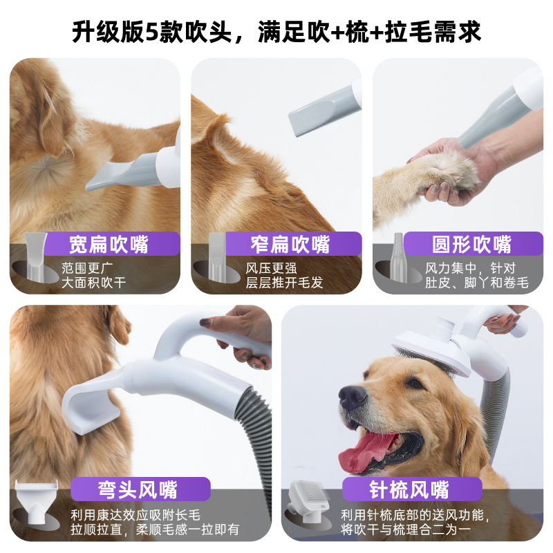 Little Red Chestnut Pet hair dryer, high-power dog hair dryer, Large dog-specific dryer, cat hair dryer details Picture