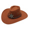 西部牛仔帽子男女帽子美国潮流三根绳鸡皮绒旅游定型骑士帽牛仔帽图