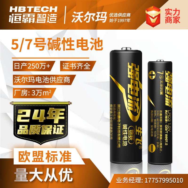 生飞碱性5号电池 7号电池 AA AAA一次性干电池 指纹锁专用高功率图