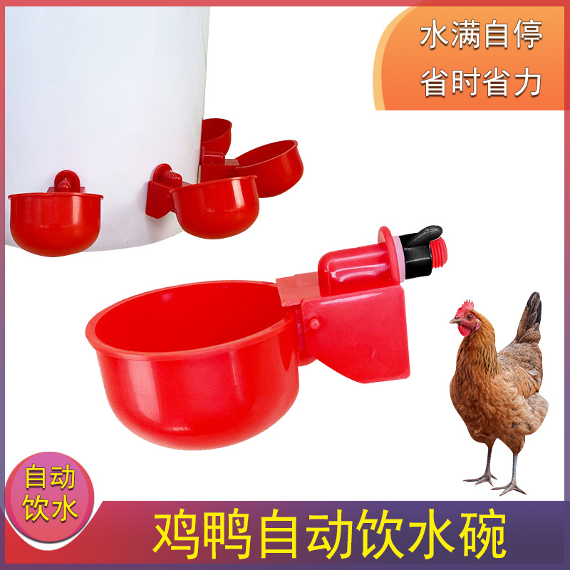 鸡用自动饮水器鸡鸭鹅饮水碗喝水碗鹌鹑家禽饮水器雏鸡鸭鸟饮水器
