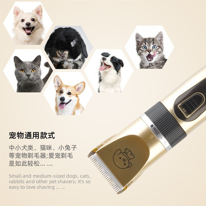 import细节图