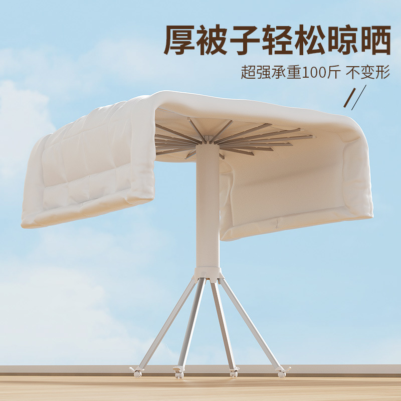 import白底实物图