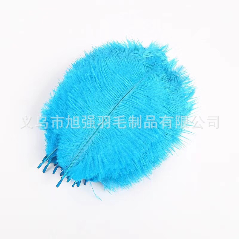 Spot 15-20Cm Color Ostrich Feather Diy Hair Accessories Accessories Wholesale Feathers Spot Manufacturers Direct Sales Specification drawing