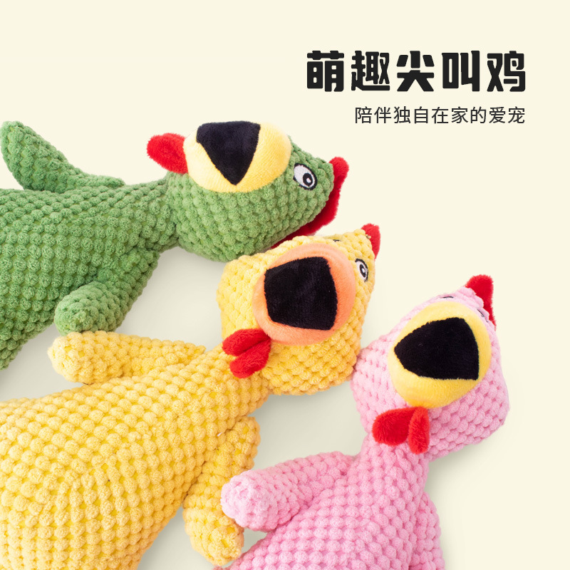 狗狗玩具实物图