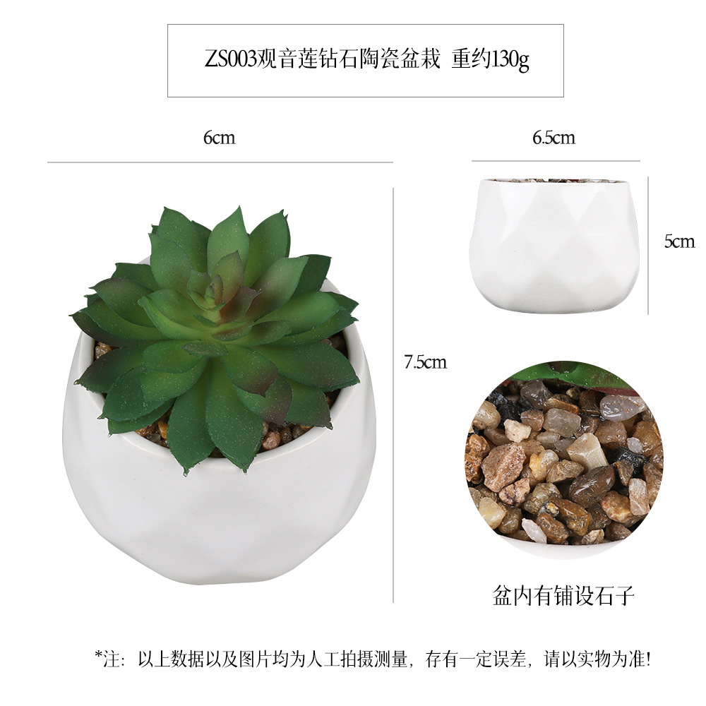 Amazon Simulation Succulent Ceramic Pot 6-piece Home Decoration simulation plant succulent bonsai set details Picture