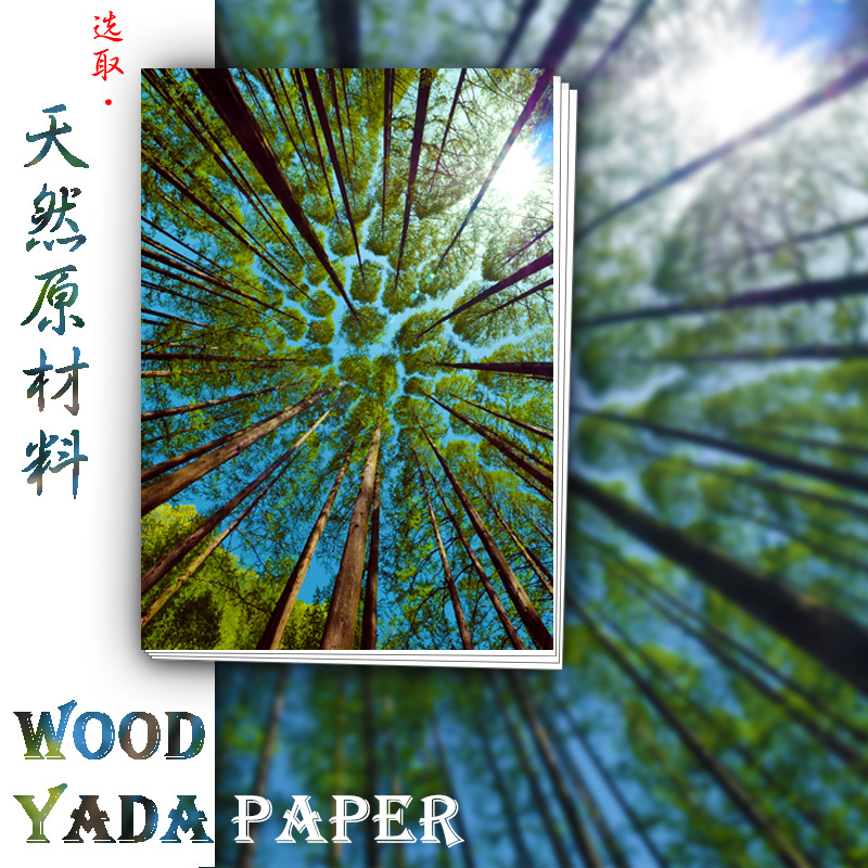 双面高光喷墨/相纸/哑光产品图