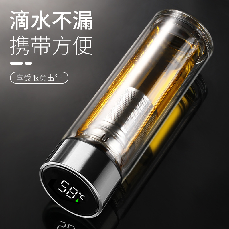 玻璃杯男士个人专用防摔便携茶水分离保温杯家用双层隔热防烫杯子