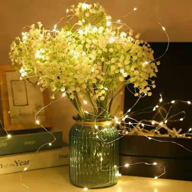 室内LED灯串实物图