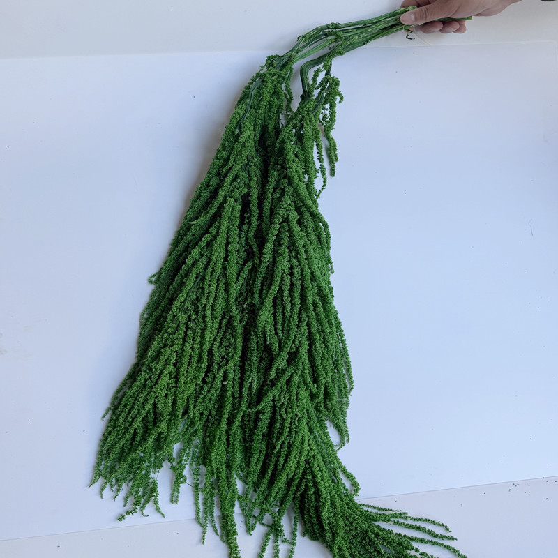 Dried flowers, preserved flowers, preserved hanging rice, Roulisi wedding decoration, hanging factory, direct delivery, preserved hanging rice wholesale, dried flowers pic 5