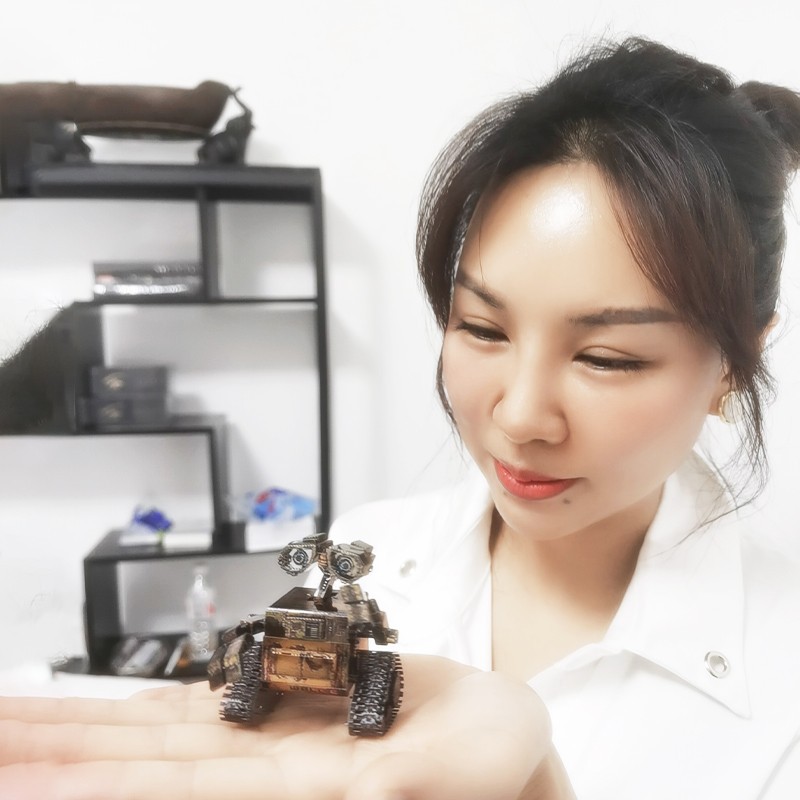 钢模像 3D立体拼装金属拼图 电影Eva伊娃 彩色瓦力机器人成人玩具详情图1