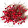 【10mm仿真单头果】100个红色泡沫浆果 樱桃珠光果圣诞用品厂家图