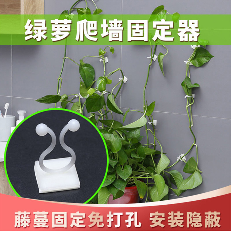 Green plant climbing wall retainer vine plant wall climbing device line traceless climbing vine model retainer full figure