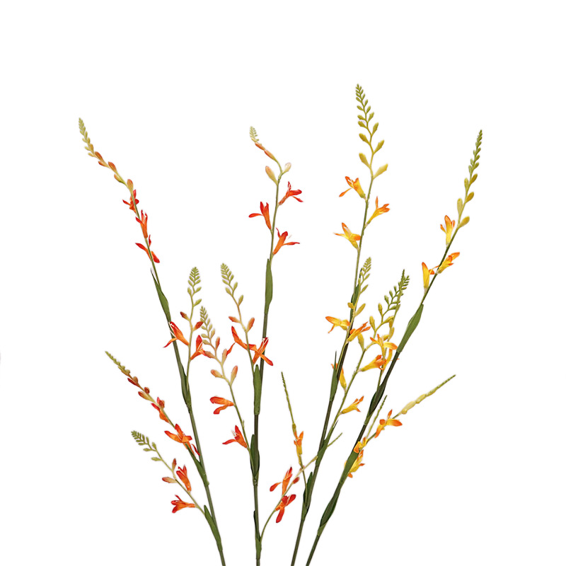 Flame Orchid High Quality Simulation Flower Home Decoration Living Room Tea Table Flower Arrangement Matching Sample Room Flower Photography Props Item Picture