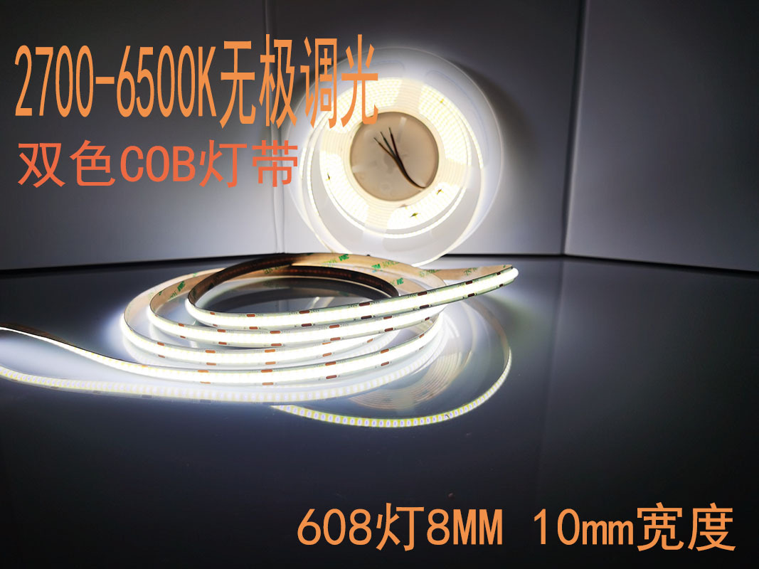 608灯8MM 10MM双色温灯带 24V三色灯带支持小米天猫精灵无极调光