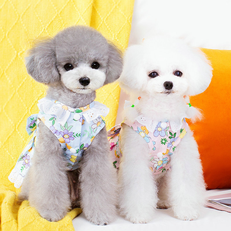 狗衣服产品图