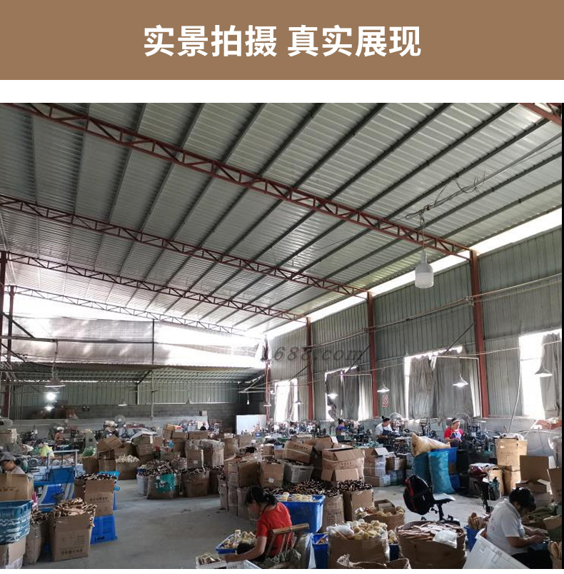 刷子家用袖口洗衣刷洗鞋软毛刷衣领刷衣服刷鞋清洁板刷收纳刷头详情13