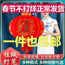 2024 red lantern hanging decoration New Year family portrait New Year balcony gate family portrait pair of outdoor Spring Festival