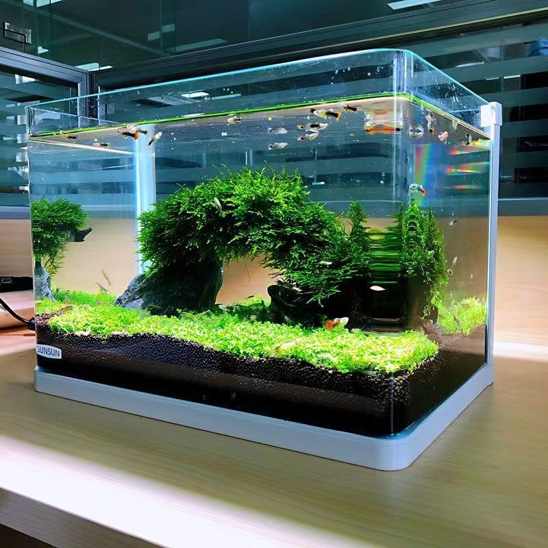 Venta al por mayor mini pares de hojas aquarium hierba de primer plano semillas de hierba acuática hermosas plantas acuáticas en stock gran oferta Application Scenario
