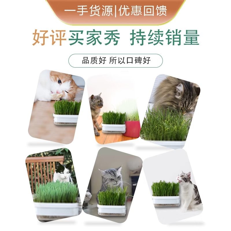 猫薄荷球棒/猫咪鸡肉粒/猫零食细节图