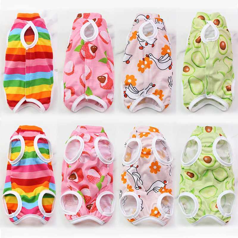 Dog Small Medium-Sized Dog Cat Spayed And Neutered Clothing After Surgery Fruit Series Four Seasons Pet Clothing Accessories Application Scenario